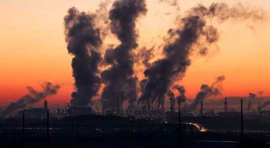 Air pollution wreaks havoc on the body