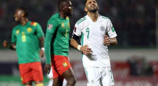 Algeria Cameroon relive the elimination of the Fennecs on