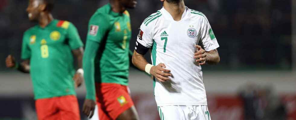 Algeria Cameroon relive the elimination of the Fennecs on