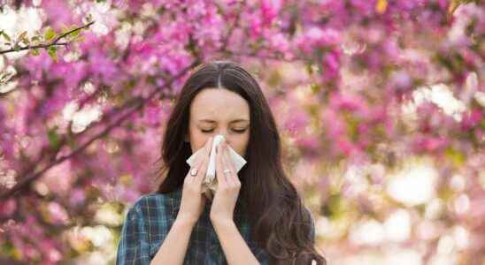 Allergies France on red alert for pollens