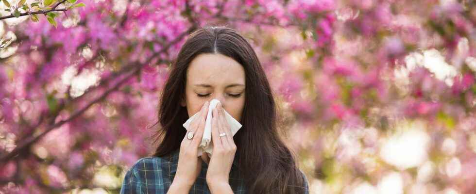 Allergies France on red alert for pollens