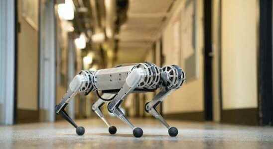 Almost indestructible Even the ice cant stop the robot cheetah