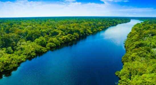 Amazonia the largest forest in the world is on the