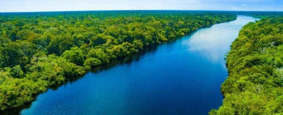Amazonia the largest forest in the world is on the