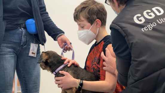 Assistance dog Deva accompanies Utrecht residents with prick fear through
