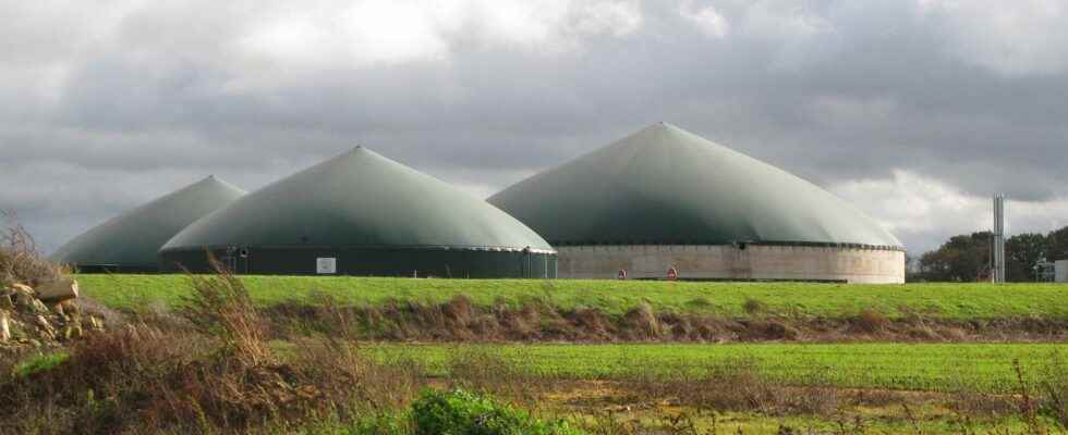 Biogas what is it
