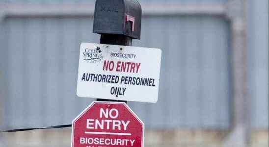 Bird flu confirmed at third farm in southern Ontario