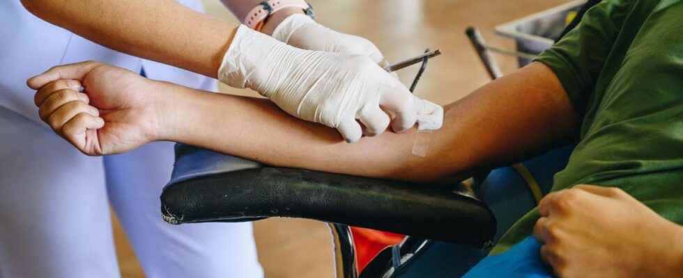 Blood donation open to homosexuals without conditions