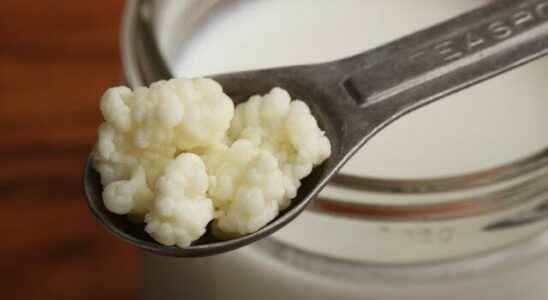 Cancer asthma allergies Incredibly healthy incredibly beneficial Kefir and its