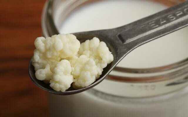 Cancer asthma allergies Incredibly healthy incredibly beneficial Kefir and its