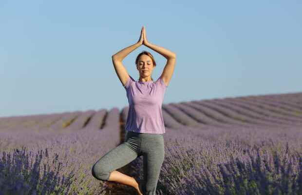 Comfort hike and yoga in the Luberon