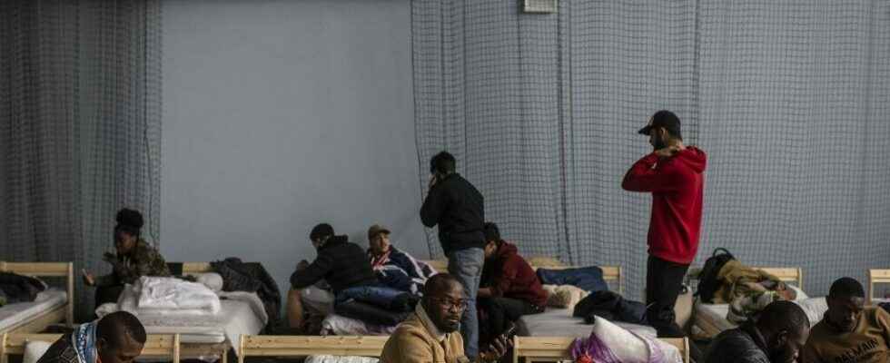 Congolese students stuck in the University of Soumy evacuated