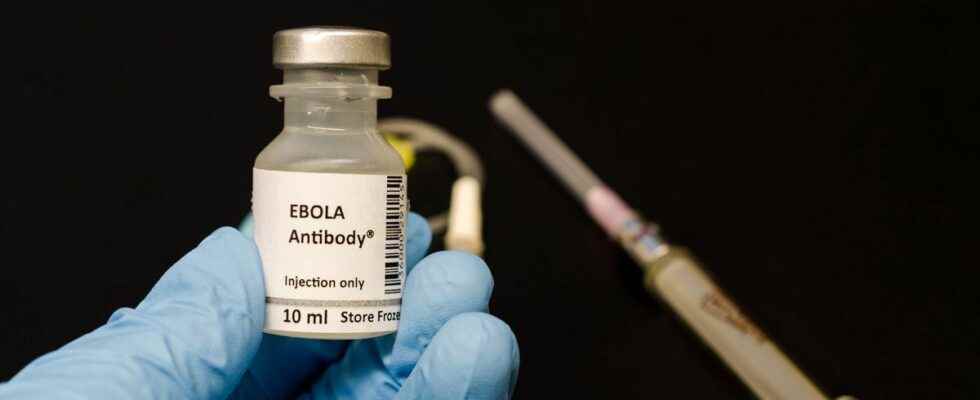Ebola the vaccine seems to provide lasting protection