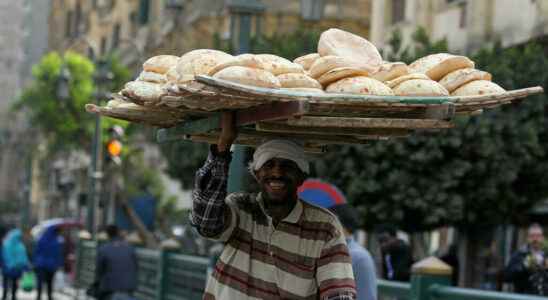 Egypt under threat of wheat shortage caused by war in
