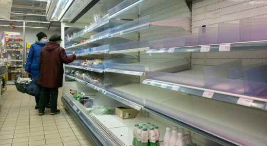 Food supply chains are collapsing in Ukraine says WFP