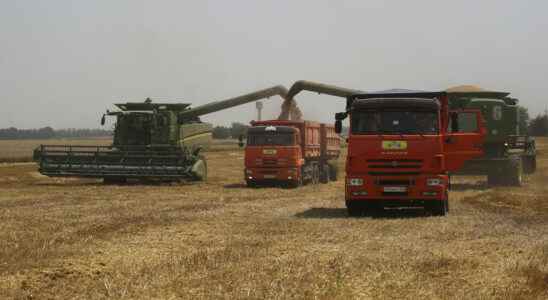 If energy prices remain high agricultural prices will keep their
