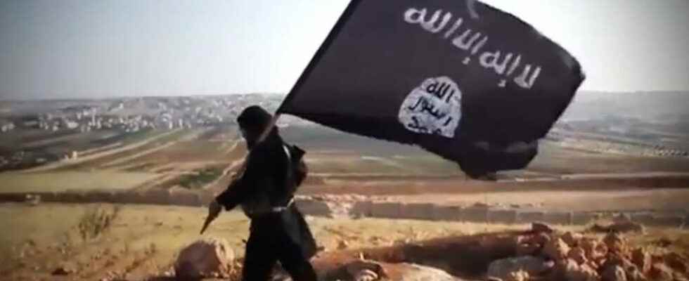 Islamic State appoints new leader for its organization