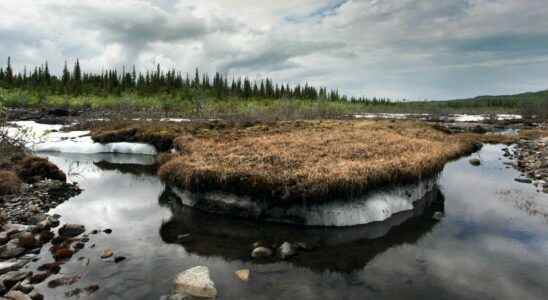 Melting permafrost threatens to release microbes and carbon