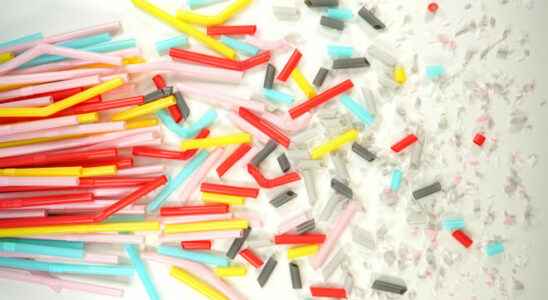 Microplastic detected in human blood for the first time