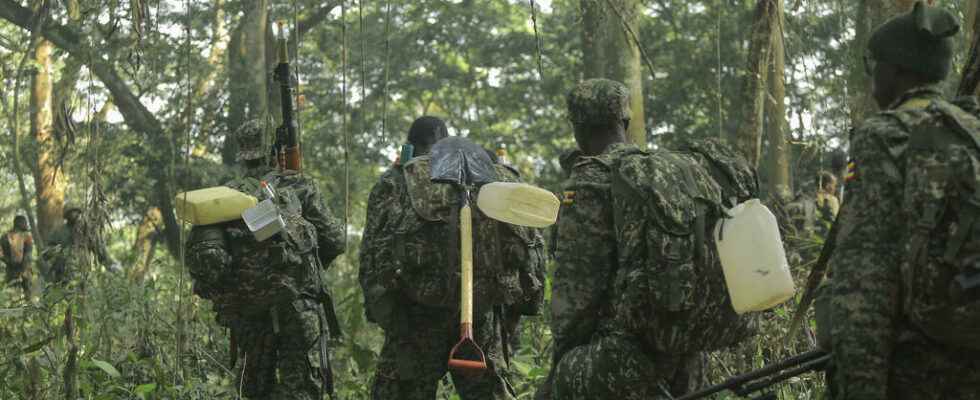 Monusco criticizes the security record in the east of the