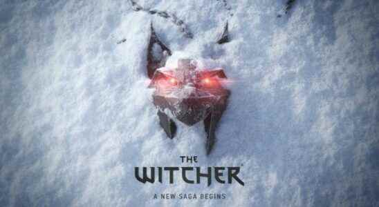 New Witcher game The Witcher Saga announced
