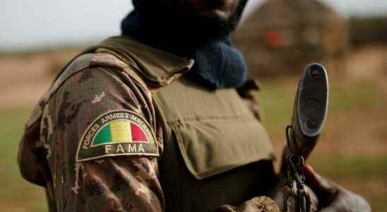 New accusations against the Malian army in Ansongo