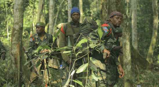 New massacre in eastern DRC despite three months of operations