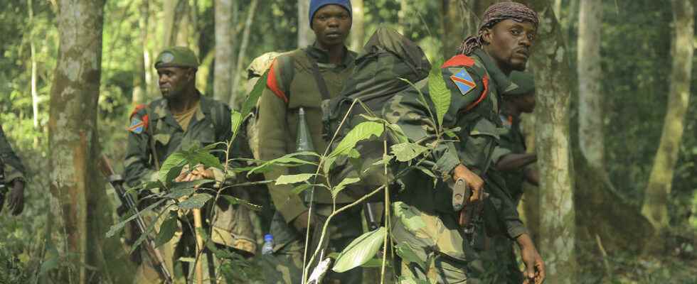 New massacre in eastern DRC despite three months of operations