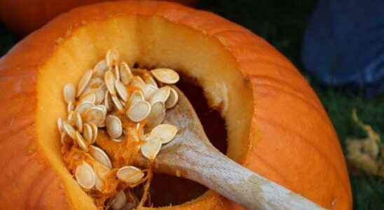 No medicine can replace it Pumpkin seed powder increases libido
