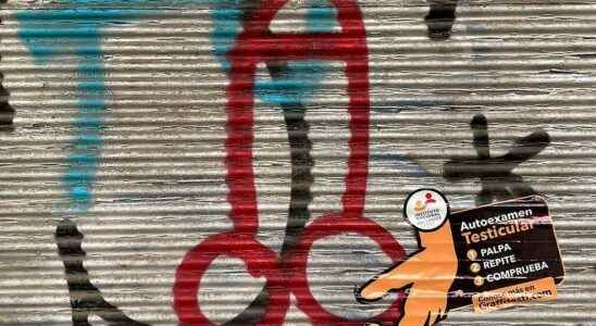 Penis graffiti to raise awareness of testicular cancer