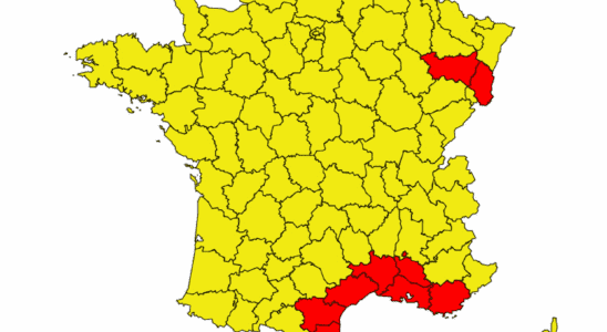 Pollen map March 2022 where are the allergies right now