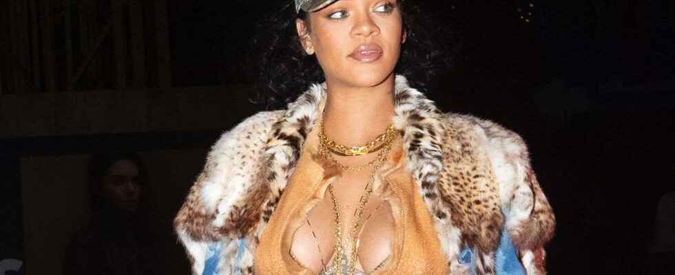 Rihanna pregnant dares the transparent dress at the Dior show