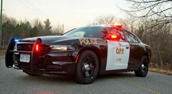Sarnia man caught driving carelessly with half a cow in