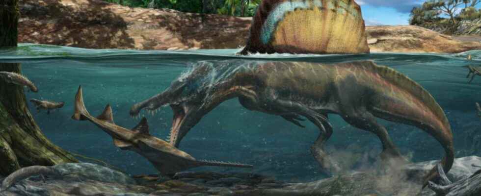 Spinosaurus was a fearsome hunter underwater