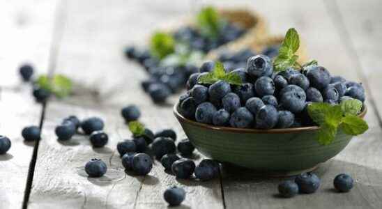 Strengthens memory facilitates digestion What are the benefits of blueberries