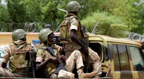 The Malian army rejects all responsibility in the mass grave