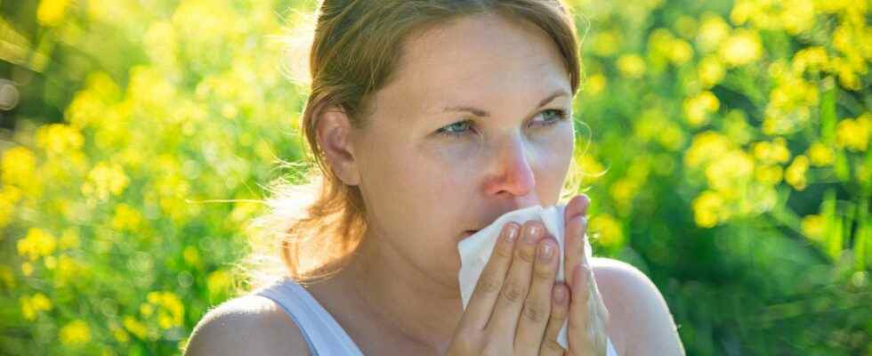 The allergy season will become increasingly intense and long