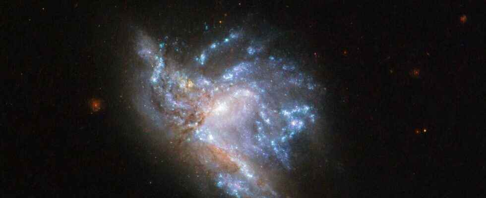 The source of fuel necessary for the growth of galaxies