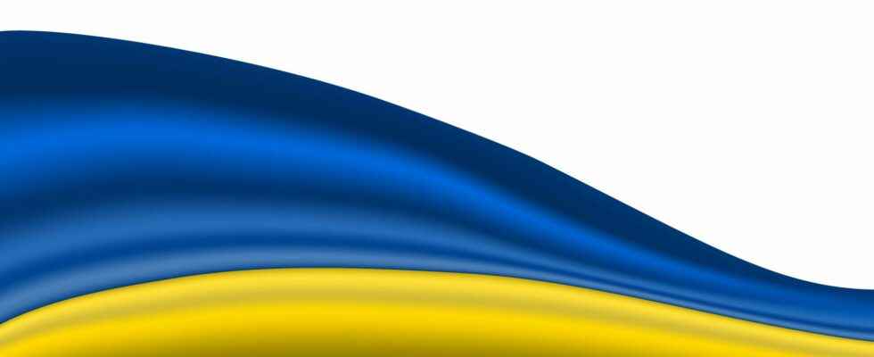 Ukraine launches internet portal to report assets of those involved