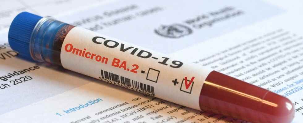 Variant BA2 Covid 73 in France what symptoms