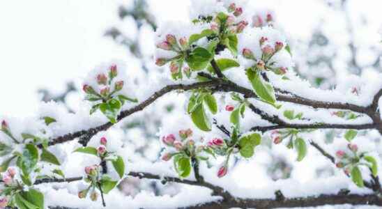 Weather polar air and snow in France for April 1st