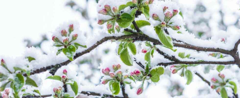Weather polar air and snow in France for April 1st