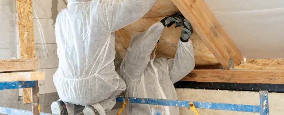 What attic insulation aids are available