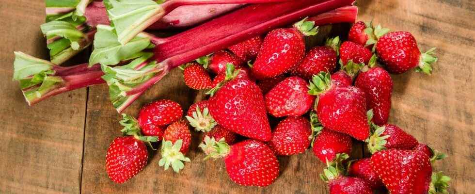 What fruits to eat in spring