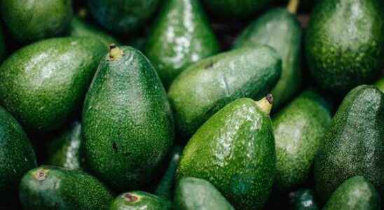 What happens to your body if you eat avocado every