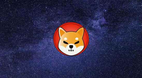 What is Shiba Coin 2022 Shiba Coin Future and Comments