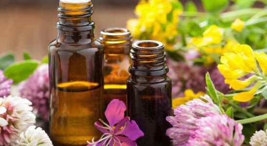 What is the difference between vegetable oil and essential oil