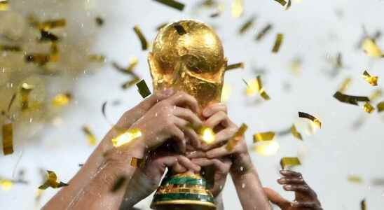 Will Fifa bury its World Cup project every two years
