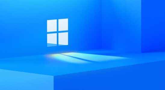 Windows 11 soon tabs in File Explorer or not