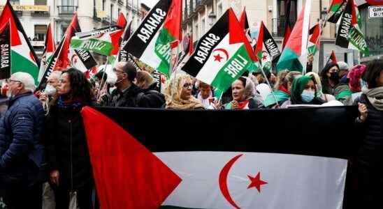 demonstration in Madrid in support of the Polisario Front